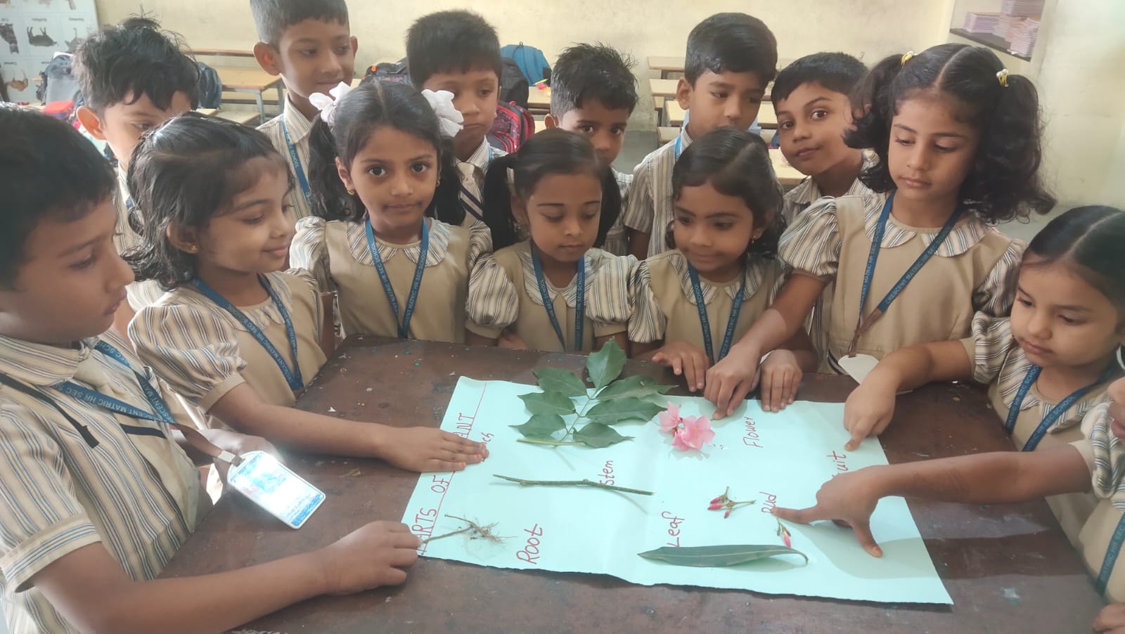 Kinder Garden